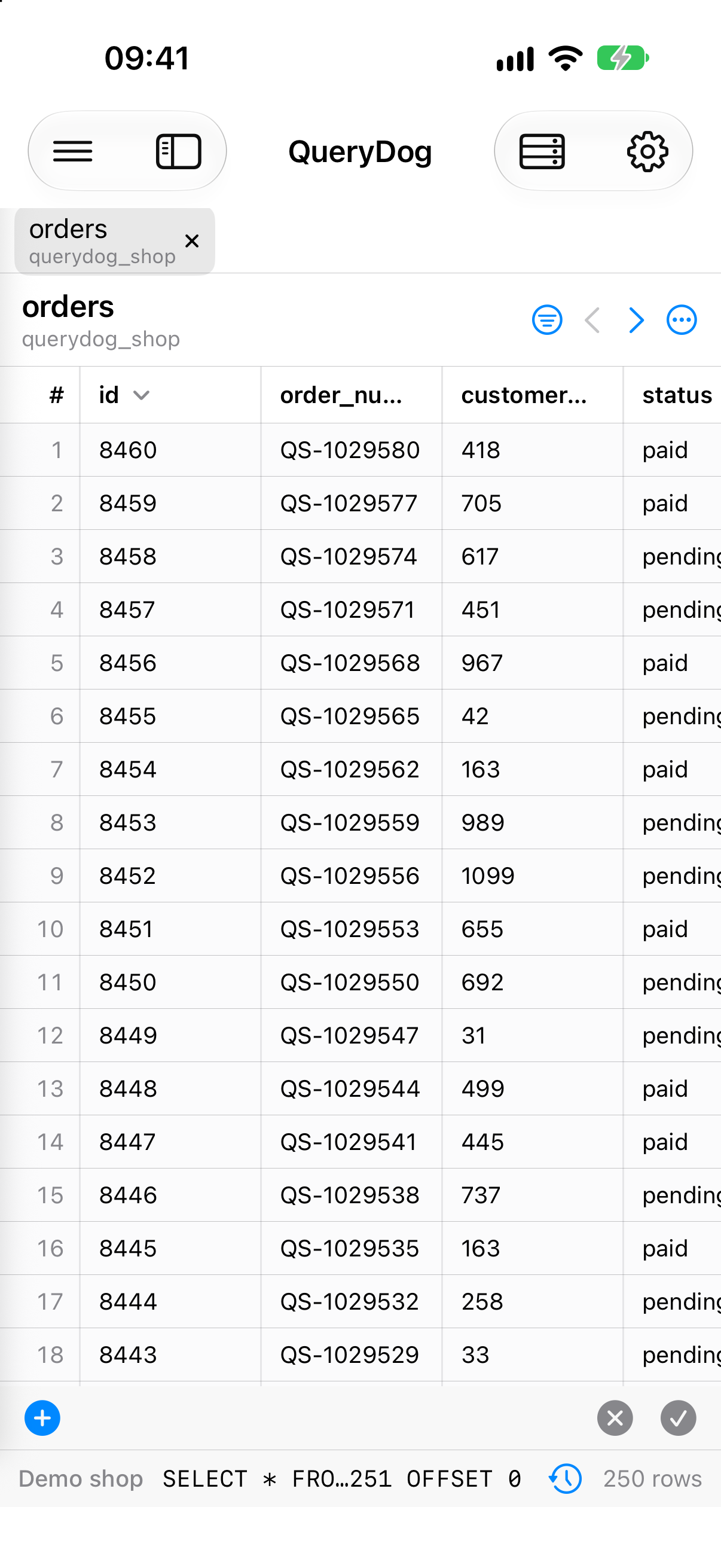 A table of orders in QueryDog on an iPhone.